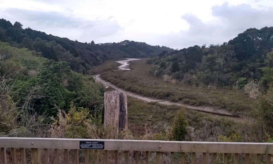 Mangemangeroa Track, Auckland