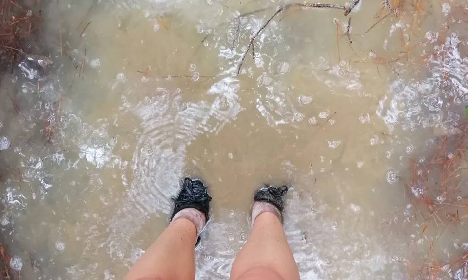 Fun at Riverhead, Auckland