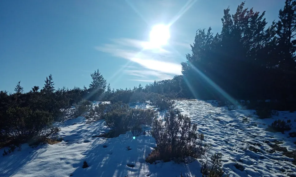 Mt Richardson Rippa, Canterbury