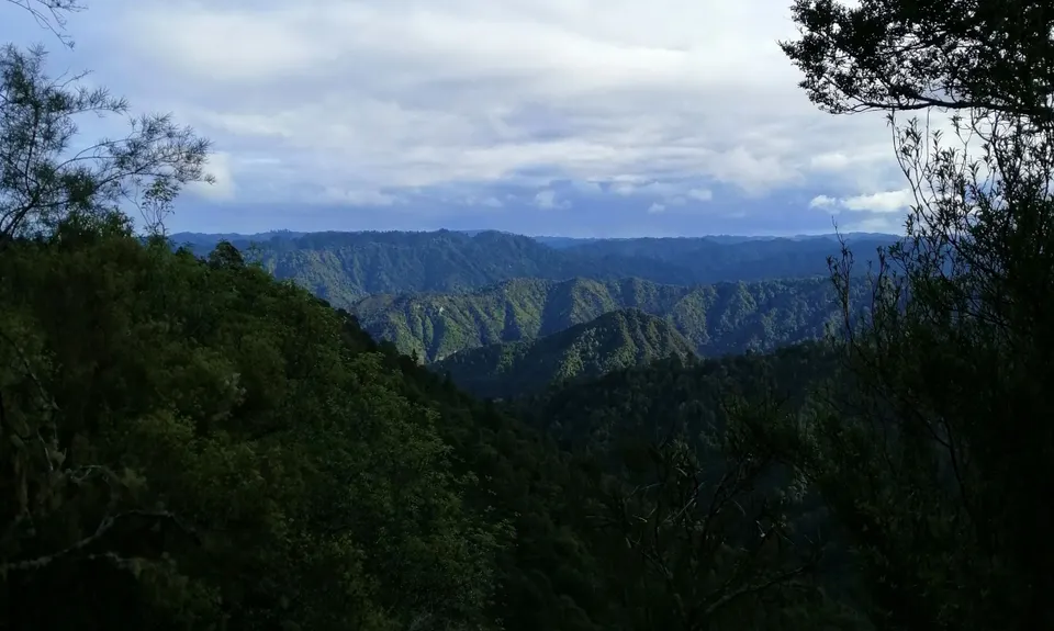 Atene Skyline Track, Manawatu - Wanganui