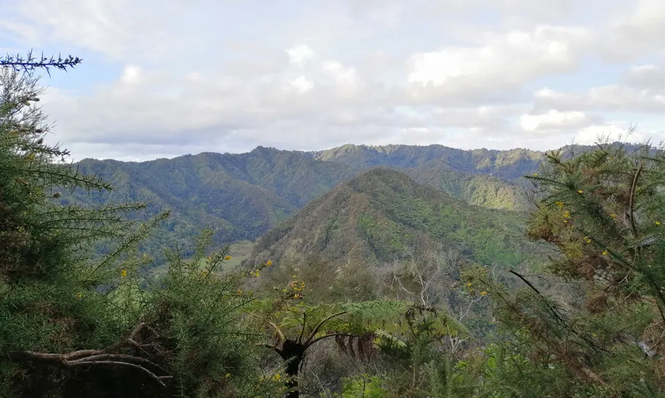 Atene Skyline Track, Manawatu - Wanganui