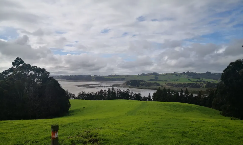 Atiu Creek Runabout., Auckland
