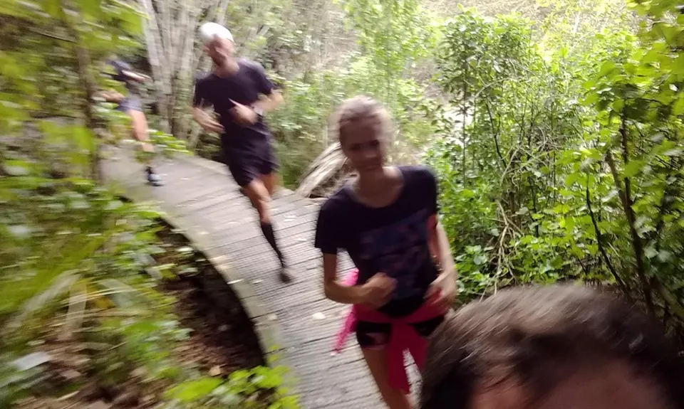 Mangemangeroa Track, Auckland