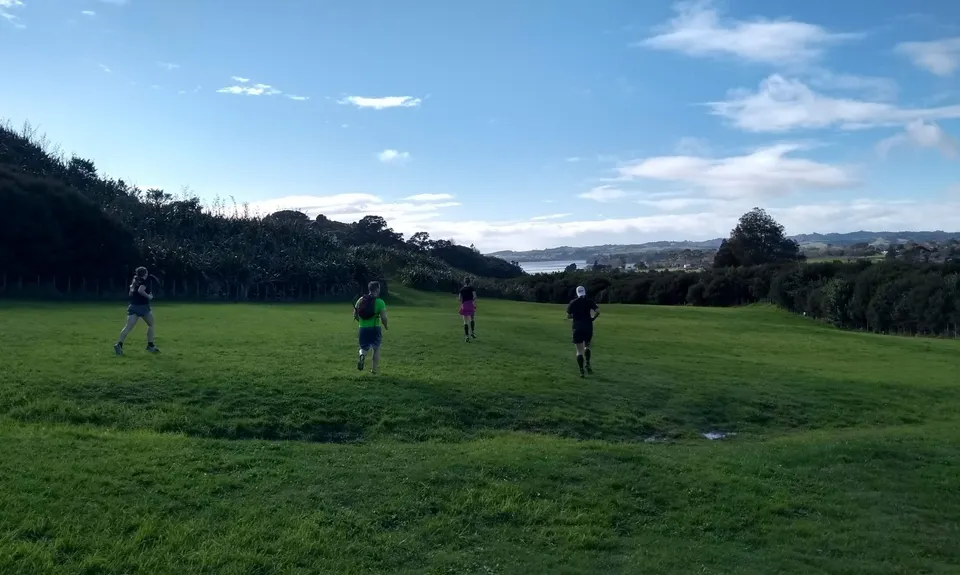 Mangemangeroa Track, Auckland