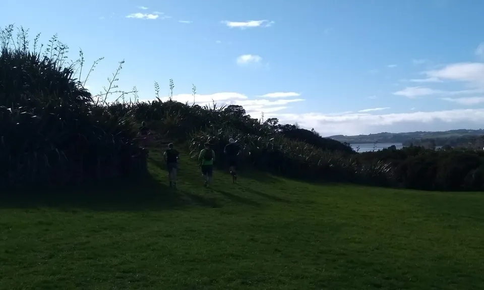 Mangemangeroa Track, Auckland