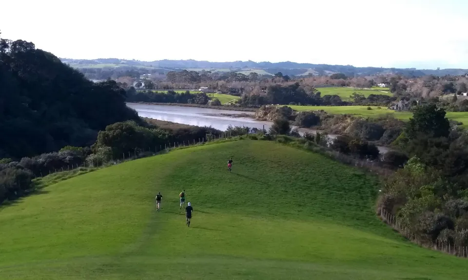 Mangemangeroa Track, Auckland