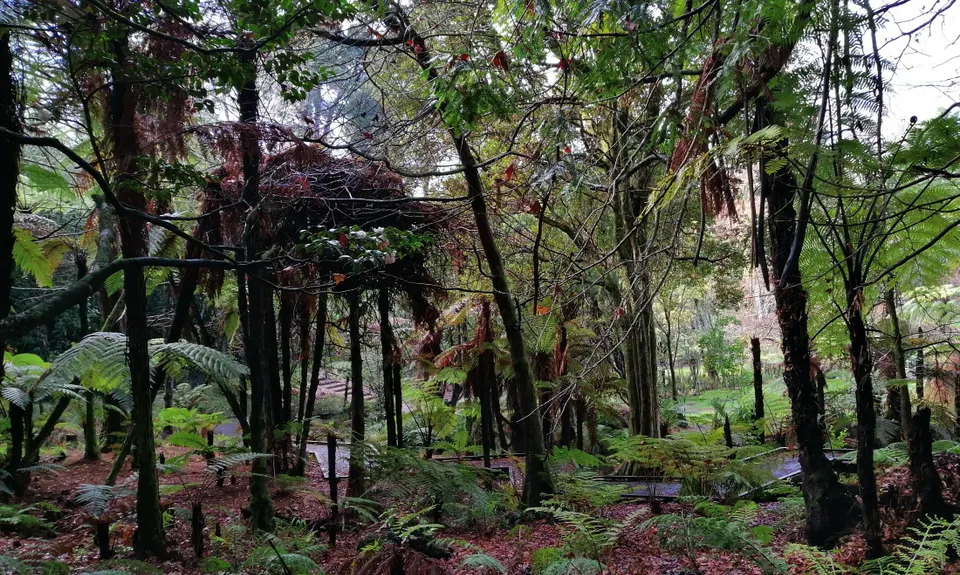 Lap The Lake, Manawatu - Wanganui