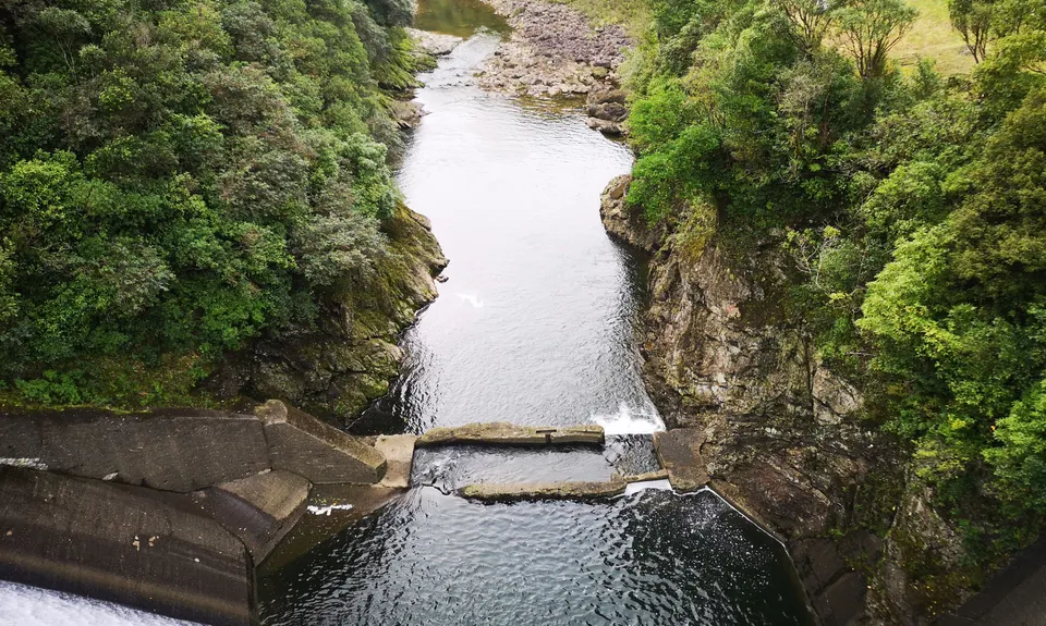 Burn Hut Loop, Manawatu - Wanganui