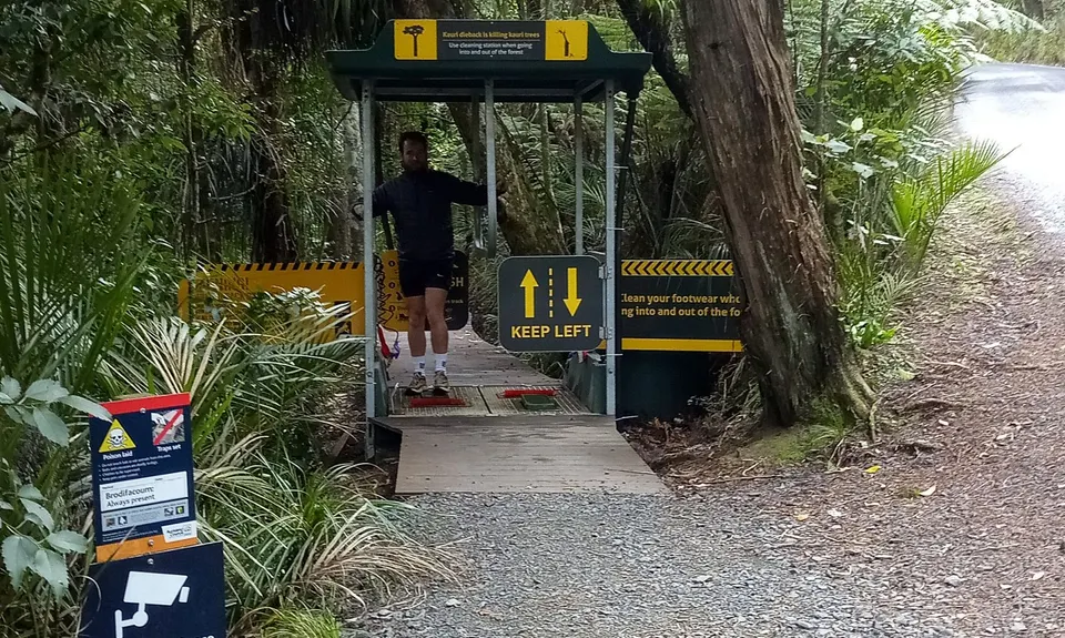 Titirangi Trainer , Auckland