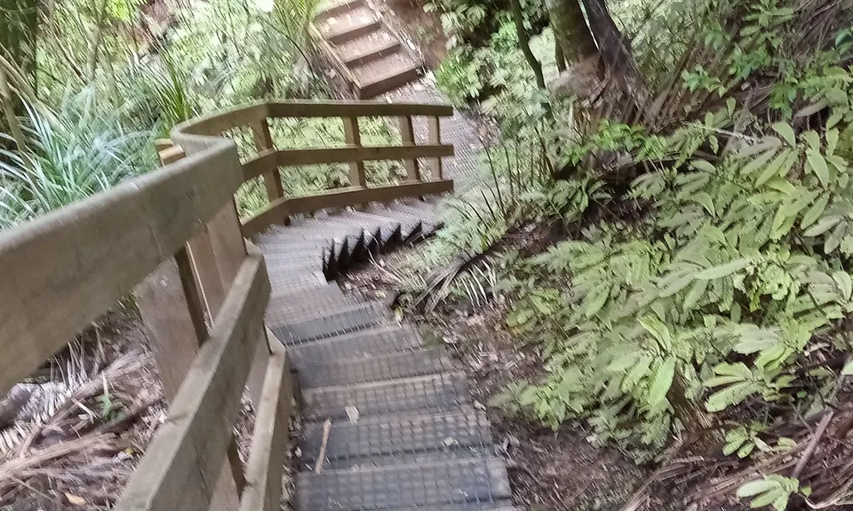 Titirangi Trainer , Auckland