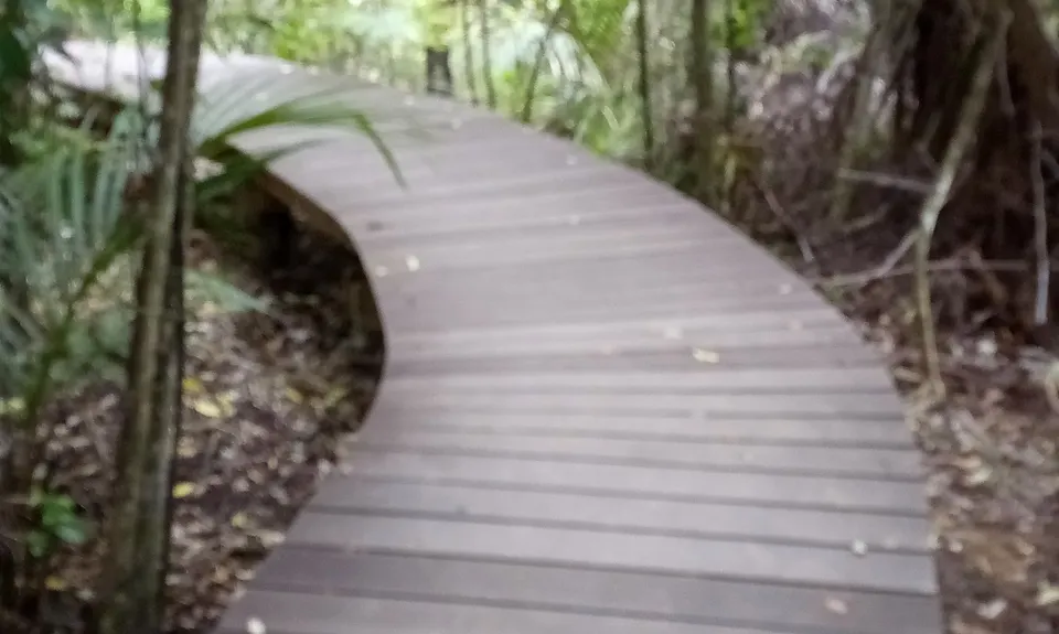Titirangi Trainer , Auckland