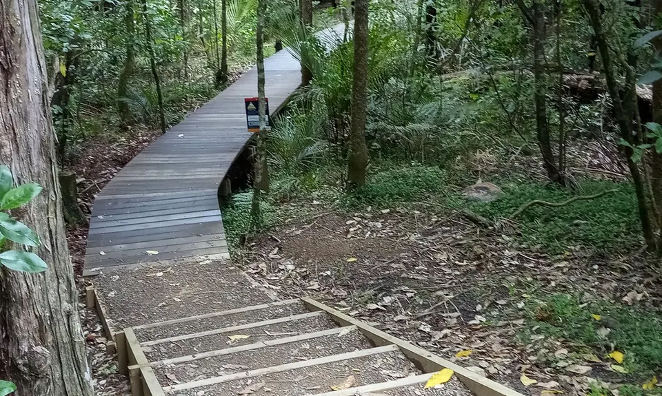 Titirangi Trainer , Auckland