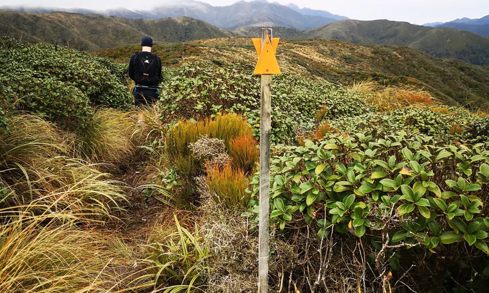 Burn Hut Loop, Manawatu - Wanganui