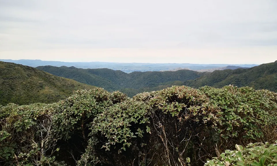 Burn Hut Loop, Manawatu - Wanganui