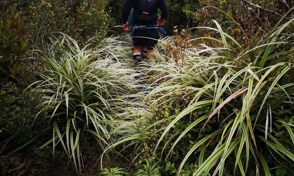 Burn Hut Loop, Manawatu - Wanganui