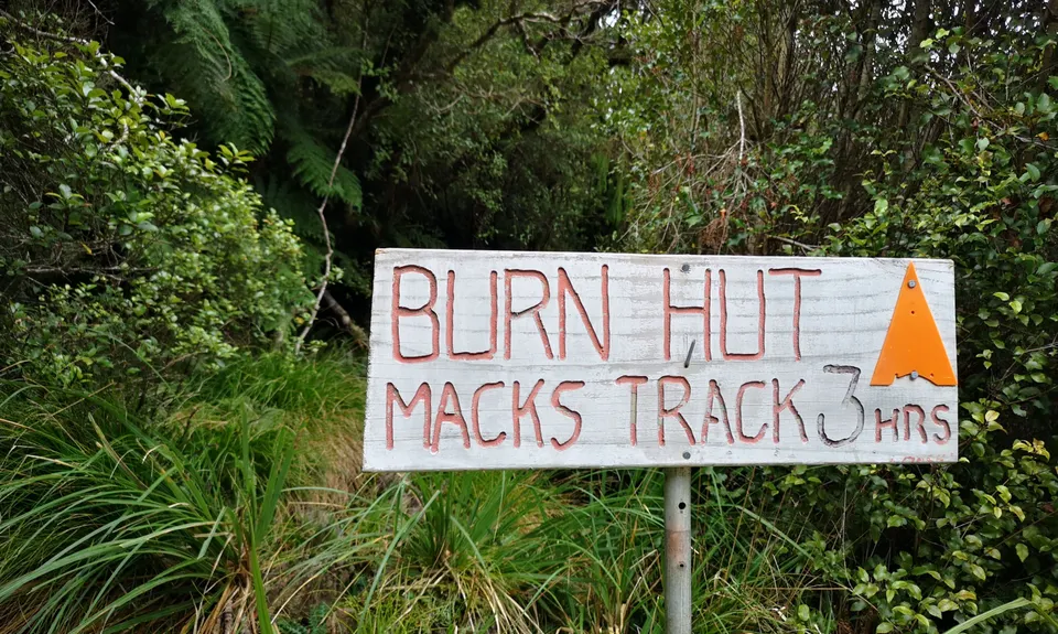 Burn Hut Loop, Manawatu - Wanganui