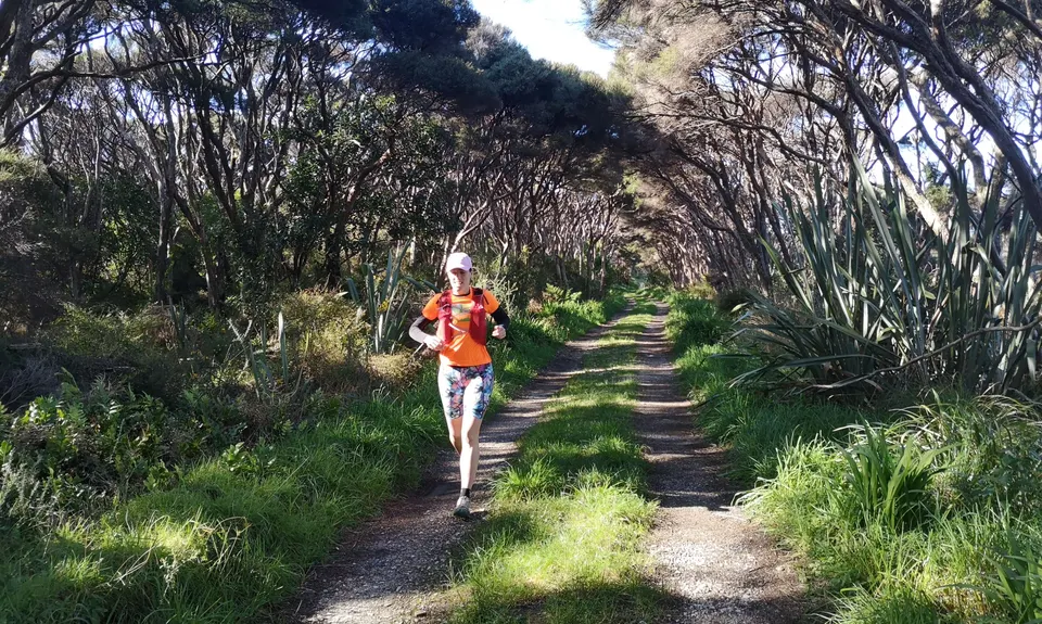 Farewell Spit Loop, Tasman