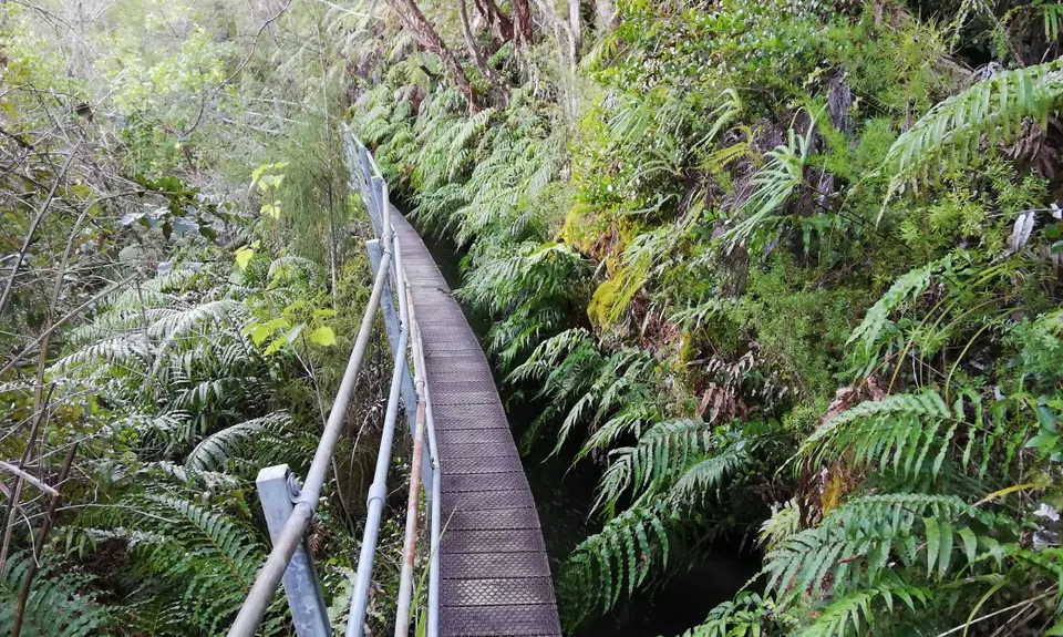 Pupu Hydro Run, Tasman