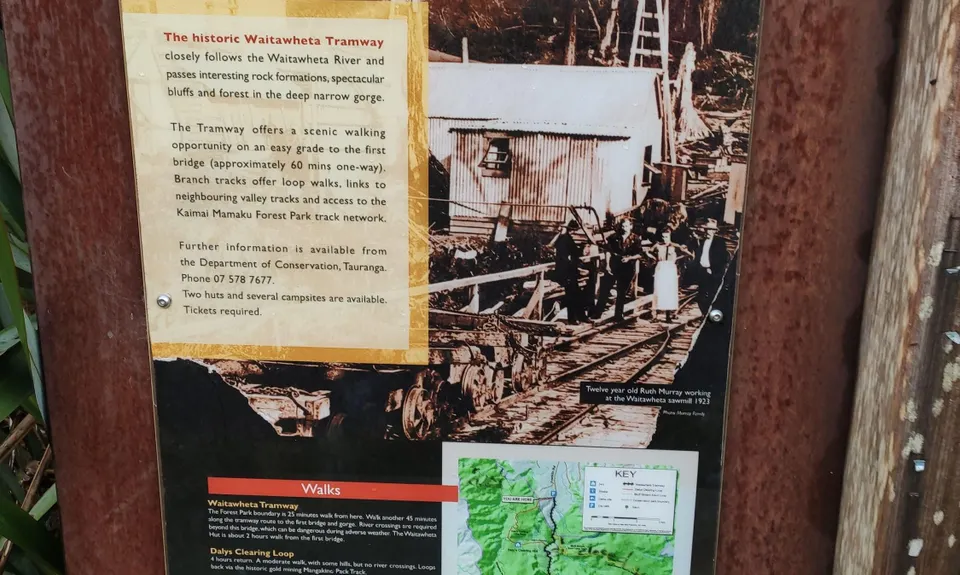 Waitawheta Tramway - Bogeys and Bluffs, Waikato