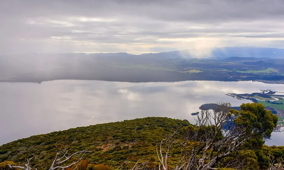 Mount Te Kinga, West Coast