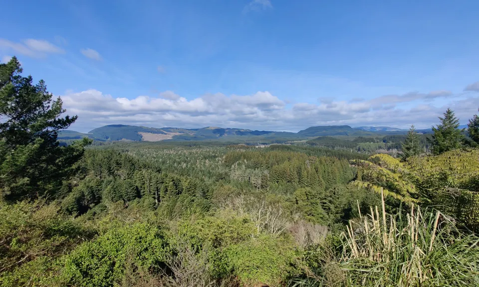 Pohaturoa Track, Bay of Plenty