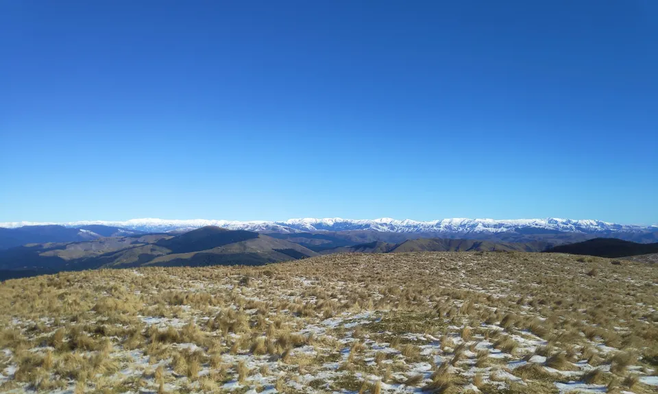 Double Mt Grey, Canterbury