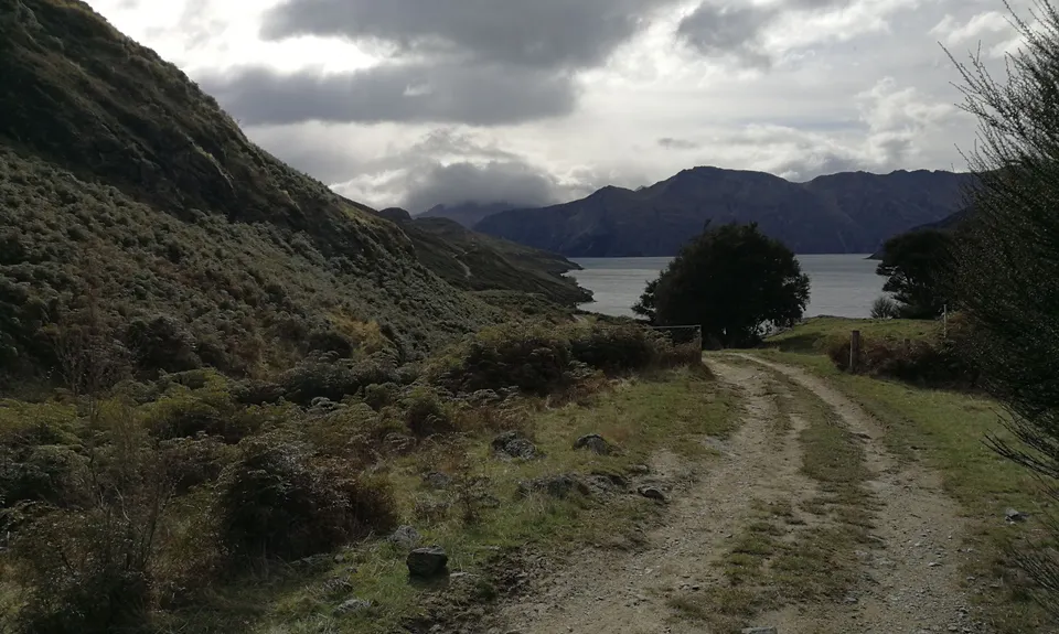 Minaret Burn Track (short), Otago