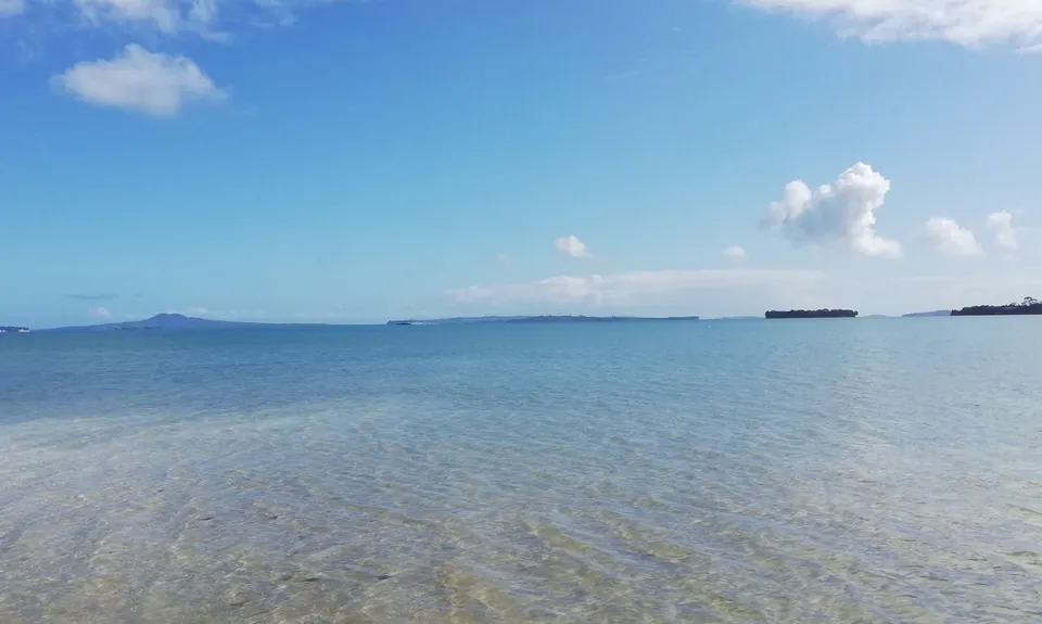 Whitford Coastal Trail Loop , Auckland