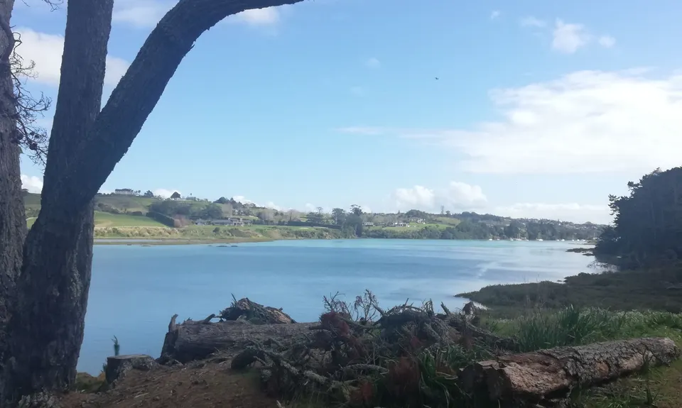 Whitford Coastal Trail Loop , Auckland