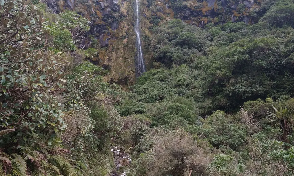Wilkie and The Enchanted Ridge, Taranaki