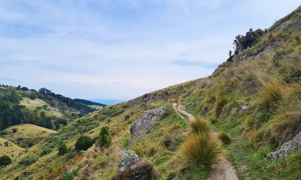 The Bowenvale Elevator, Canterbury