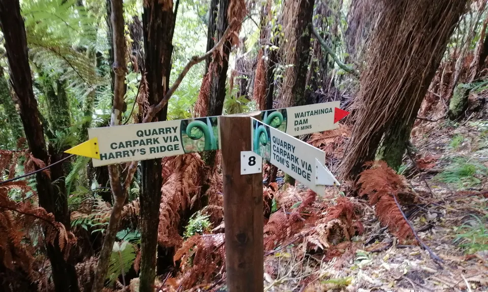 Waitahinga Dam Loop, Manawatu - Wanganui