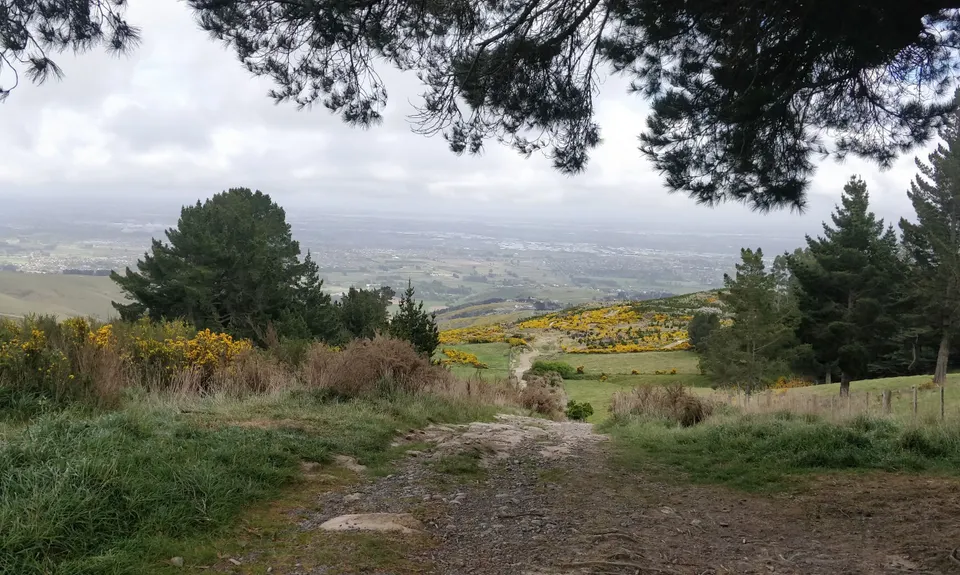The Gorsetrack Strikes Back, Canterbury