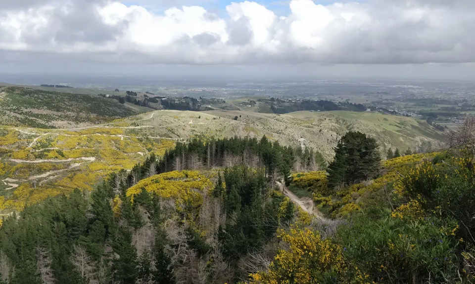 The Gorsetrack Strikes Back, Canterbury
