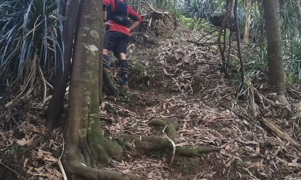 Arawaru Trig Loop, Manawatu - Wanganui