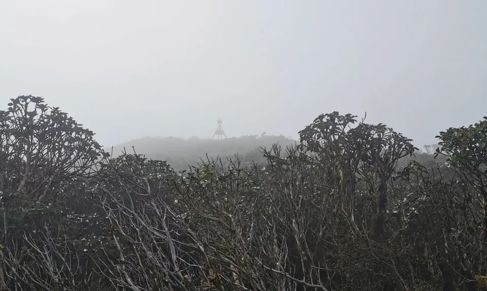 Arawaru Trig Loop, Manawatu - Wanganui