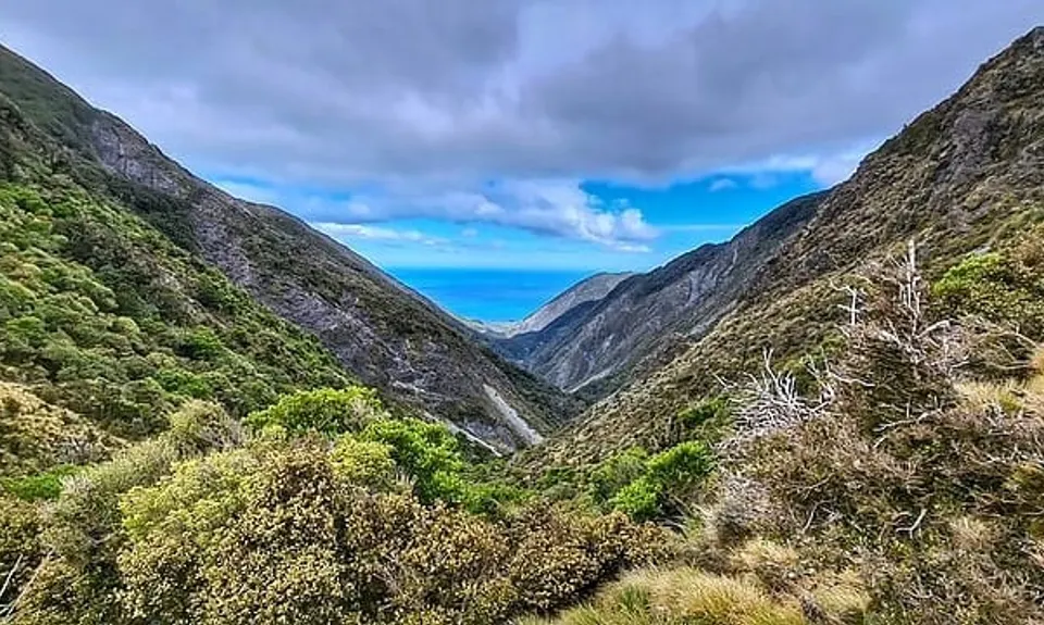 Mukamuka Munter, Wellington