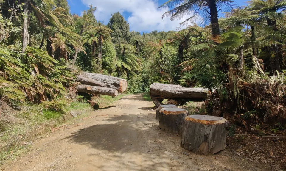 Timber Trail, Waikato