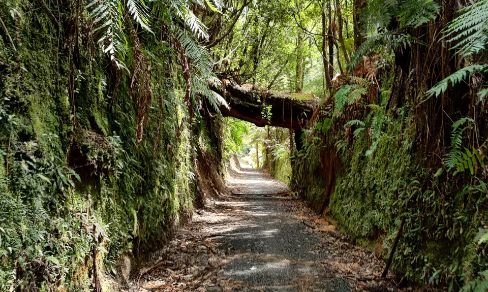 Timber Trail, Waikato