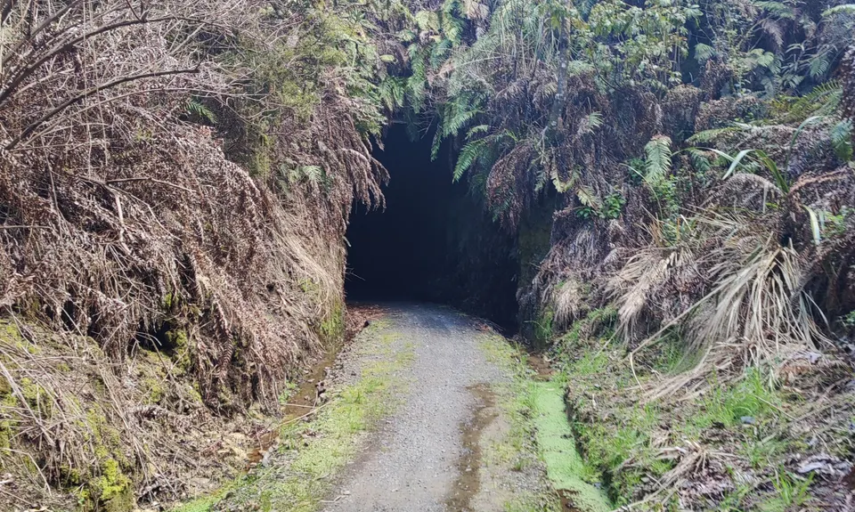 Timber Trail, Waikato