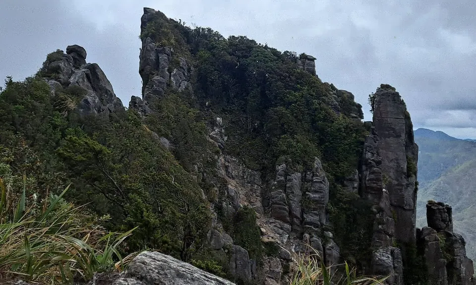 Pinnacles & Billy Goat, Waikato