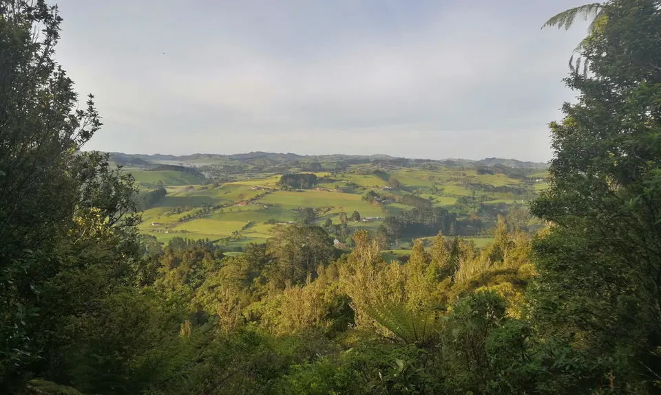 Hunua Hillbilly 22km, Auckland