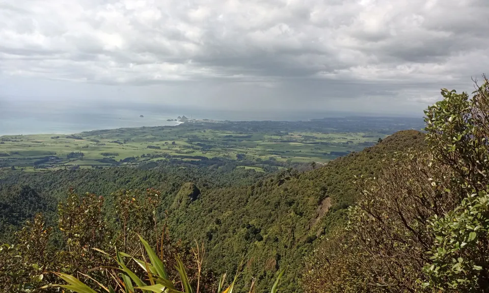 Davies Track, Taranaki