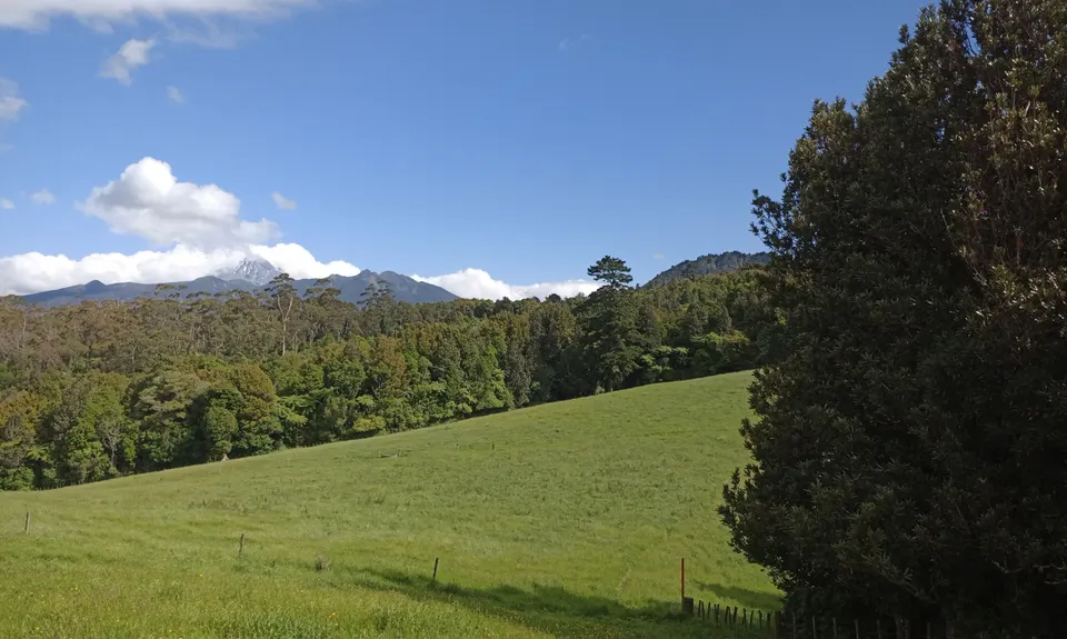 Davies Track, Taranaki