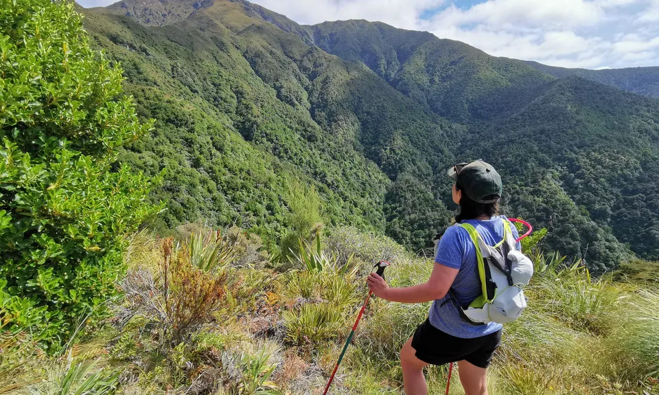 Little Peel Loop, Canterbury