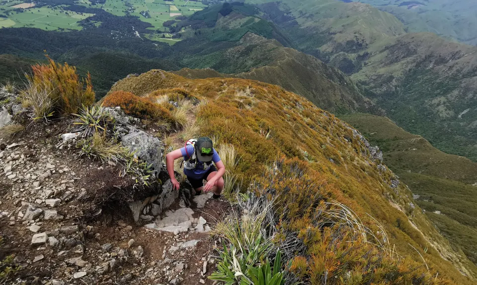 Little Peel Loop, Canterbury
