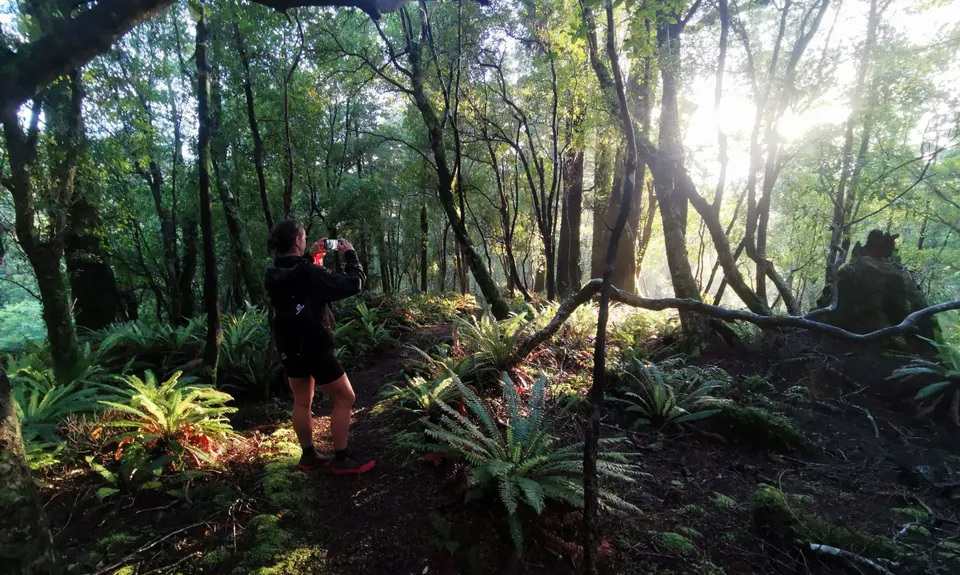 Hump Ridge Track, Southland