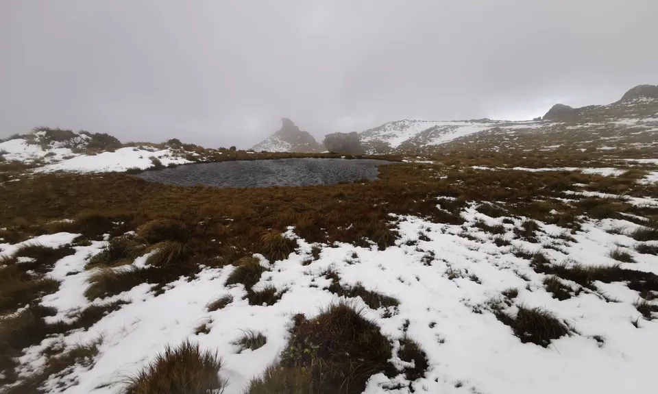 Hump Ridge Track, Southland