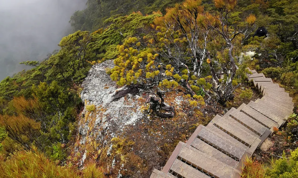 Hump Ridge Track, Southland