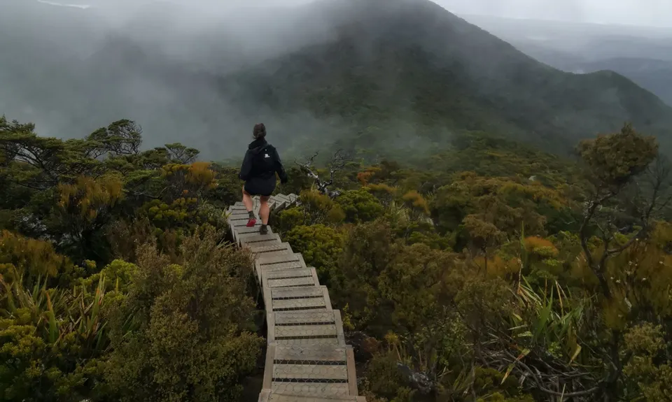 Hump Ridge Track, Southland